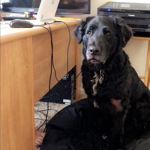 Meet your Posher, Dayna